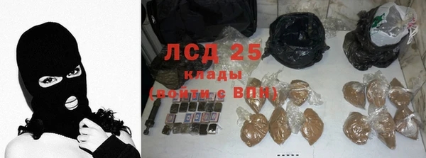 прущие грибы Армянск