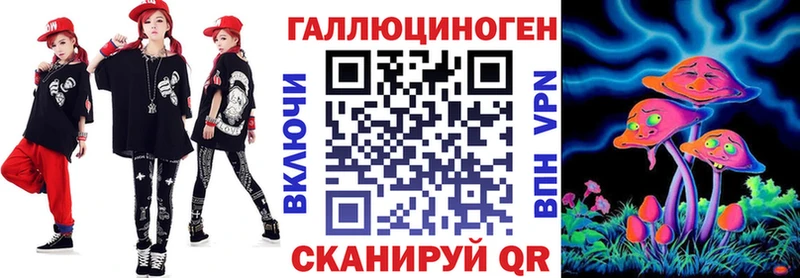 хочу   Буй  Псилоцибиновые грибы Psilocybe 